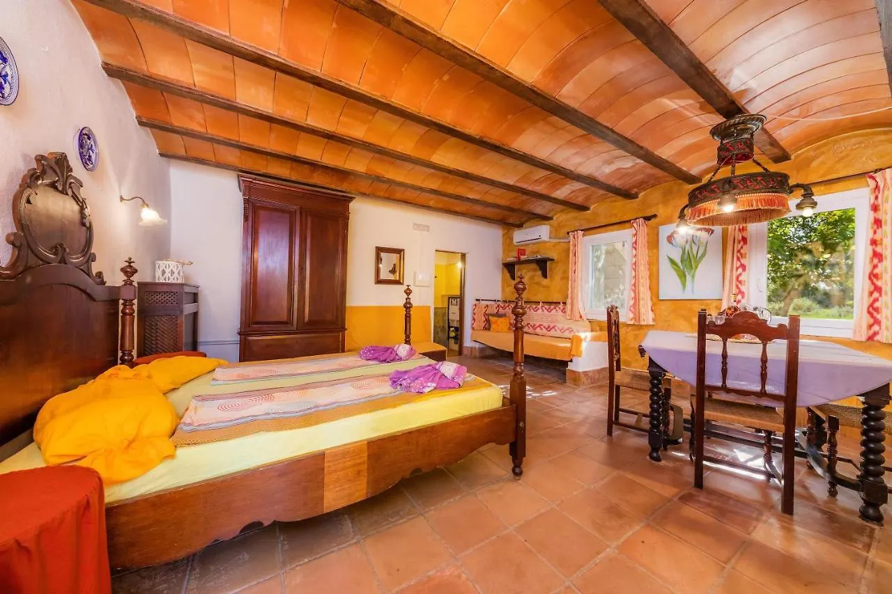 Can Patxo - Finca Es Pla Nou Manacor  Spain